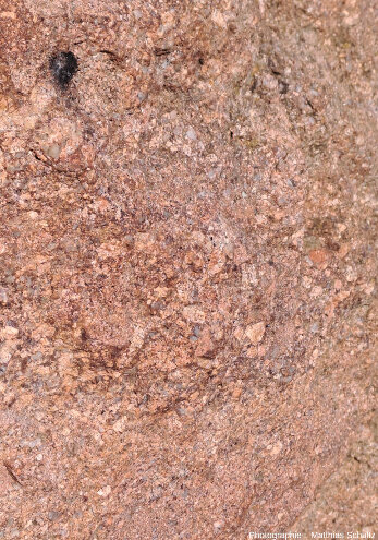 Détail d'une surface fraiche dans les grès silicifiés du niveau sommital de la formation de la Serre, sur les pentes Nord du rocher de Roquebrune (Var)