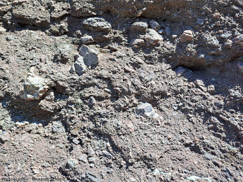 Détail du conglomérat basal de la formation de la Serre à l'Est du rocher, dans le village historique de Roquebrune-sur-Argens (Var)