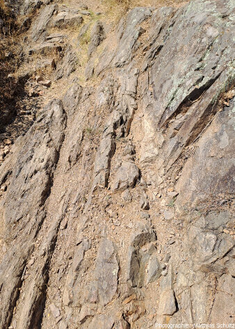 Affleurement de micaschistes de la série métamorphique hercynienne des Maures, à la schistosité presque verticale, au Sud du village historique de Roquebrune-sur-Argens (Var), près de la chapelle Sainte Anne et du cimetière