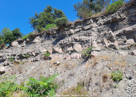 Affleurement de la formation du Muy (Var), le long de la DN7, montrant des bancs irréguliers, chenalisants, indices d'un milieu fluviatile