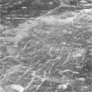 Gros plan sur des cratères de Dioné recoupés par des failles normales