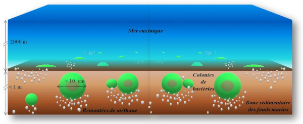 Le méthane, source d'énergie des colonies bactériennes