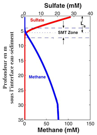 Zone de coexistence du sulfate et du méthane en solution dans l'eau de mer au sein des sédiments