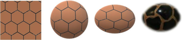 Figures hexagonales sur un plan, une sphère, un ellipsoïde, une septaria