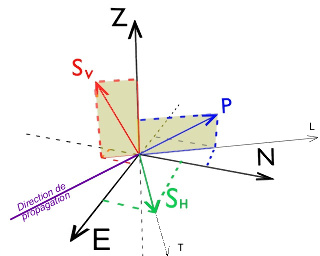 Projection sur les 3 axes d'un sismomètre des déplacements de matière liés au passage des ondes P et S (décomposée en SH et SV)