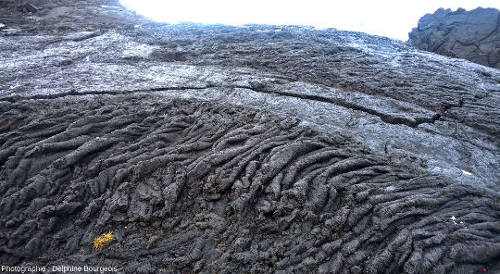 Surface de la coulée de type pahoehoe datant de 1986