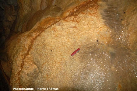 Mini-gours dans les grottes du Cornadore, Saint Nectaire (63)