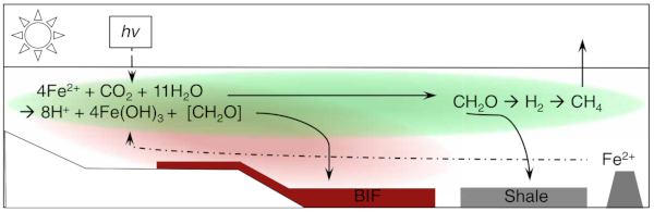 Modèle proposé pour la formation des BIF et la production biologique de méthane dans une zone côtière affectée par des upwellings à l'Archéen
