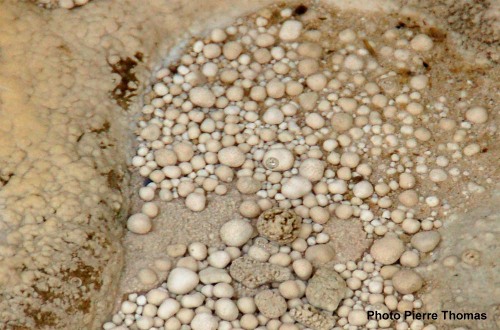 Perles stromatolithiques, source pétrifiante de Réotier (Hautes-Alpes)