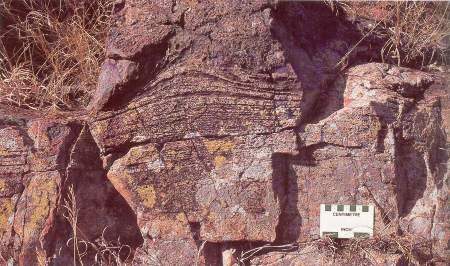 Stromatolithes de la région de Barberton, Afrique du Sud