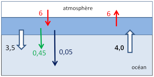Schéma simplifié du cycle du carbone dans l'océan