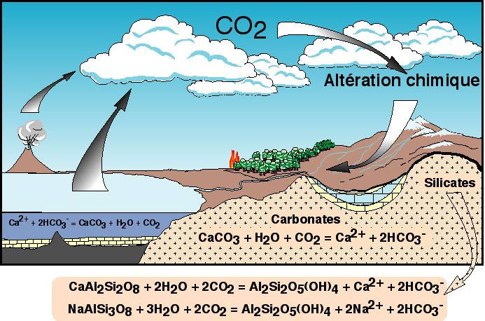 Les réservoirs du cycle du carbone.