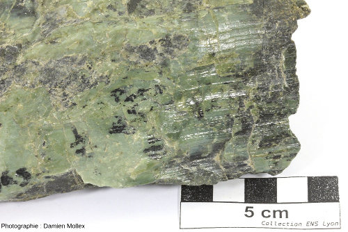 Détail d'un échantillon de péridotite serpentinisée du massif de Salvezines