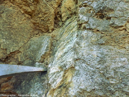 Détail de l'affleurement de péridotite mantellique au niveau du village de Bestiac montrant une veine de serpentine