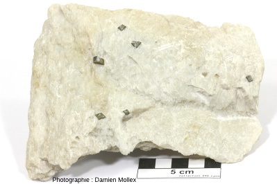Échantillon de talc avec pyrite (FeS2) provenant de la carrière de talc de Trimouns