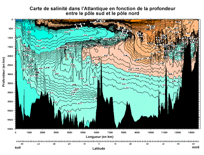 Carte de salinité de l'eau de mer dans l'Atlantique, en fonction de la profondeur, coupe entre le pôle Nord et le pôle Sud