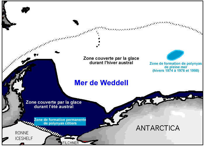 Extension de la glace de mer en hiver et en été, deux principales zones de formation des polynyas