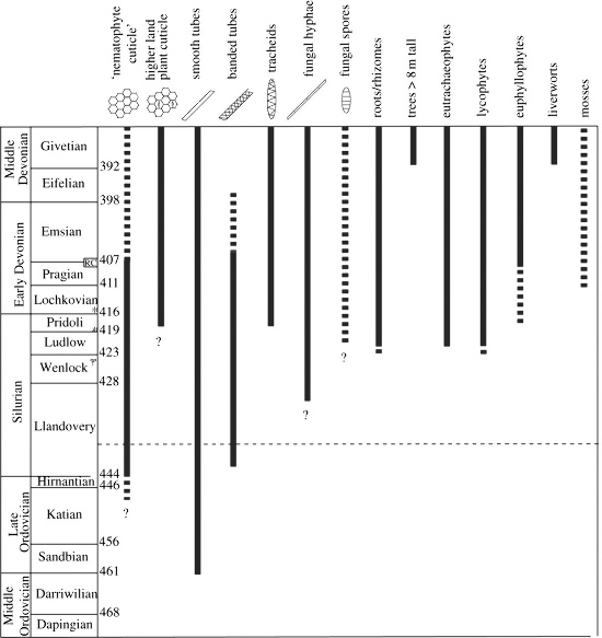 Registre fossile des types de fragments et des groupes taxonomiques de plantes terrestres de l'Ordovicien moyen au Dévonien moyen