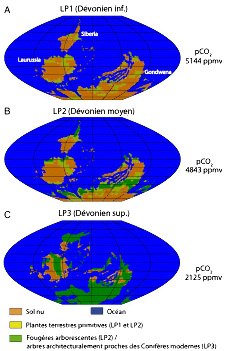 Répartitions potentielles de la végétation à trois périodes du Dévonien, calculées par le modèle de G. Le Hir et al.