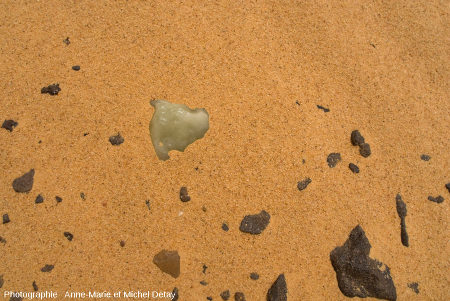 Échantillon de verre libyque sortant à peine du sable (~150 g)