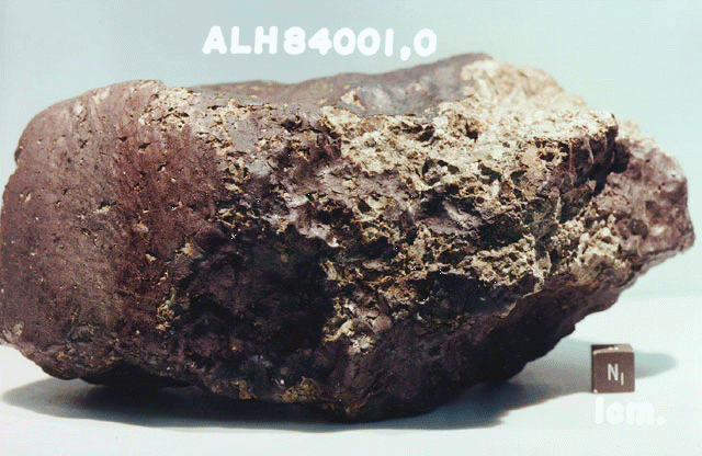 Météorite ALH84001