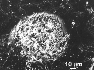 Carbonates à la surface de la météorite de Tatahouine