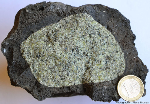 Nodule de péridotite en enclave dans un fragment de scorie basaltique, Mont Briançon, Haute Loire